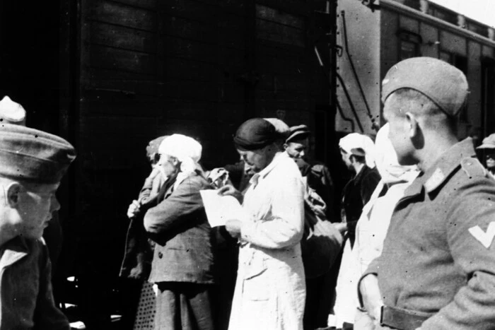 Straty Ukrainy w II wojnie światowej. Historyk podał prawdopodobną liczbę ukraińskich ofiar