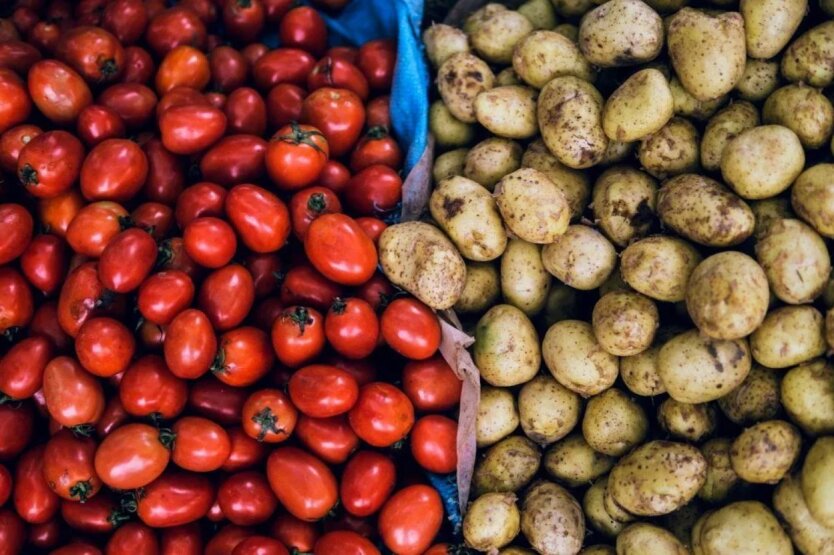 Three times cheaper: prices for young potatoes have fallen in Ukraine, how much do tomatoes cost